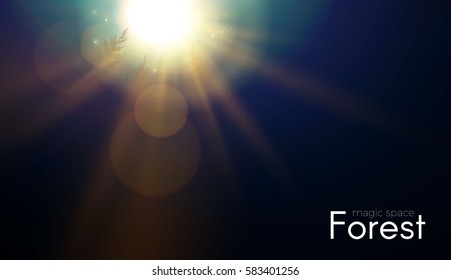 Coniferous Forest. Magic Woods. Sun and Magic Light. Nature, Mystery and Fairy Tale Space. Vector illustration