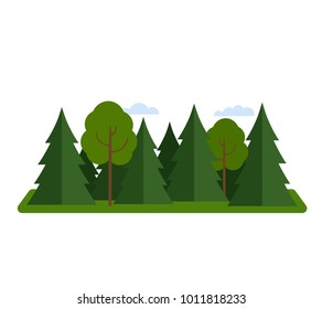 Bosque de coníferas mezclado con bosque de árboles. ilustración vectorial plana aislada en fondo blanco