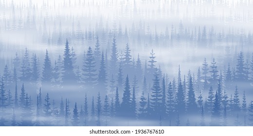 Coniferous forest in the morning fog