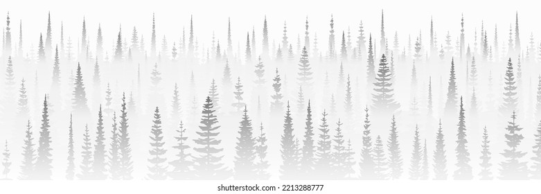 Coniferous forest in the morning fog, black and white landscape, banner