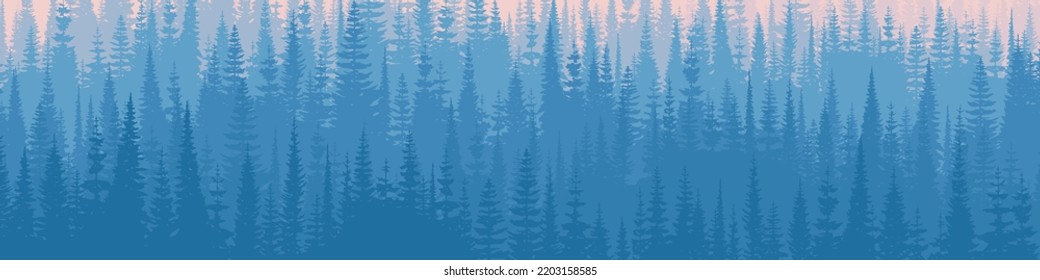 Coniferous Forest In The Morning Haze, Banner