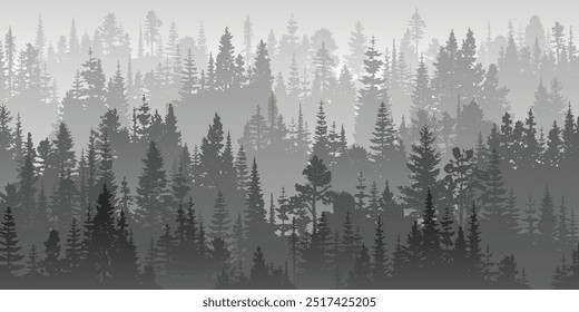 Coniferous forest in the morning haze, black and white landscape, vector illustration