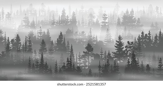 Coniferous forest in the morning haze, black and white landscape, vector illustration