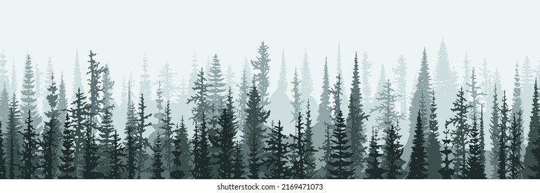 Bosque de coníferas en la neblina matutina, bandera vectorial