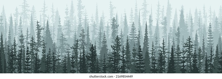 Bosque de coníferas en la neblina matutina, bandera vectorial