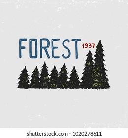 coniferous forest, mountains and wooden logo. camping and wild nature. landscapes with pine trees and hills. emblem or badge, tent tourist, brown bear, travel for vintage labels. engraved hand drawn.