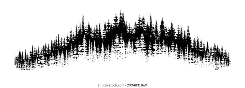 Coniferous forest, natural border, isolated on white background