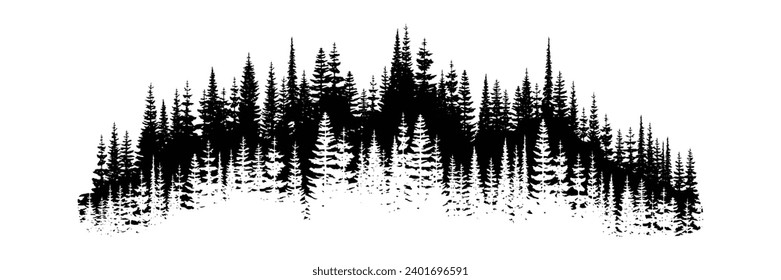 Coniferous forest, natural border, isolated on white background