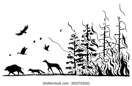 Coniferous forest on fire and silhouettes of wild animals. Deer, wild boar, fox, birds fleeing from the wildfire. Hand drawn graphic vector illustration of forest fire. Black drawing isolated on white