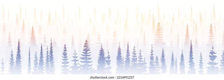 Coniferous forest on a foggy morning, dawn light, panoramic view