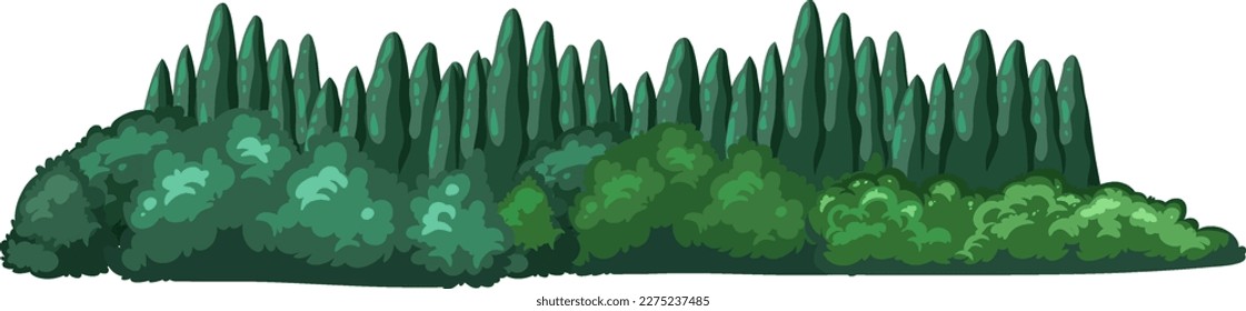 Coniferous forest on white background illustration