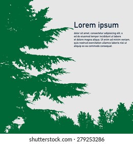 Coniferous forest silhouette, light grey background. Template with pine tree branches, green color