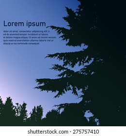 Coniferous forest silhouette, night blue sky sunset background. Template with pine tree branches