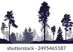 Coniferous forest, silhouette of pine trees and spruces, beautiful landscape. Vector illustration