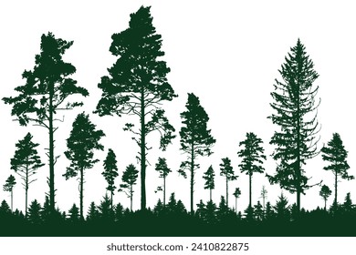 Bosque coníferas  silueta