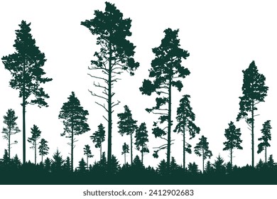 Coniferous forest, silhouette of pine trees, beautiful landscape. Vector illustration