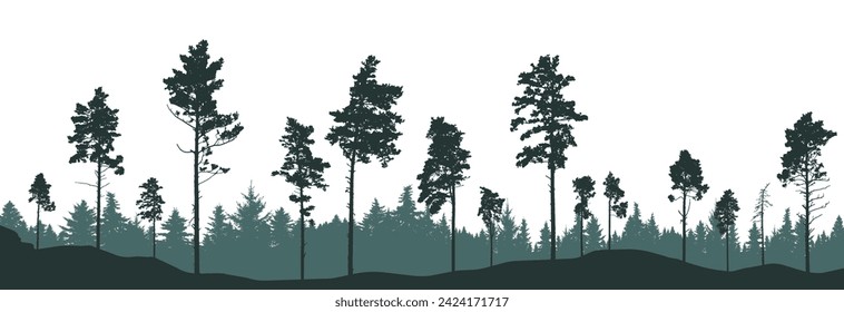 Coniferous forest, silhouette of pine trees and spruces, beautiful landscape. Vector illustration