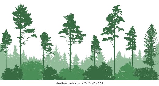 Coniferous forest, silhouette of pine trees and spruces, beautiful landscape. Vector illustration