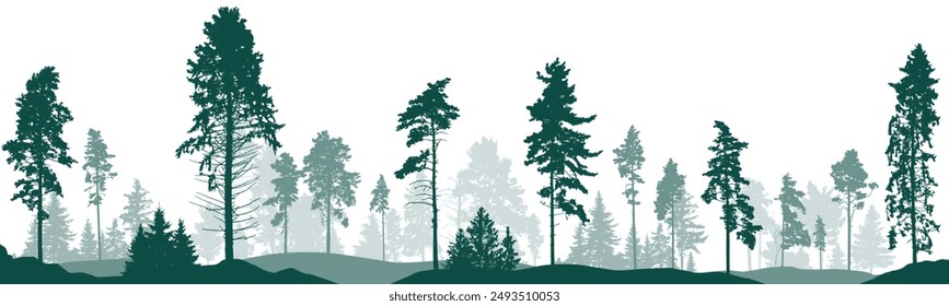 Coniferous forest, silhouette of pine trees and spruces, beautiful landscape. Vector illustration