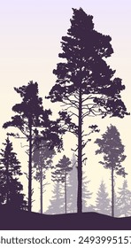 Coniferous forest, silhouette of pine trees and spruces, beautiful landscape. Vector illustration