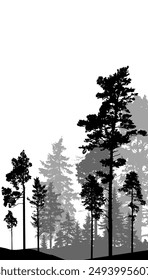 Coniferous forest, silhouette of pine trees and spruces, beautiful landscape. Vector illustration