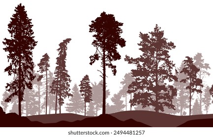 Coniferous forest, silhouette of pine trees and spruces, beautiful landscape. Vector illustration