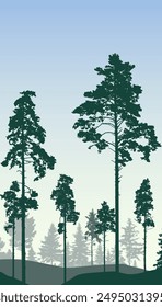 Coniferous forest, silhouette of pine trees and spruces, beautiful landscape. Vector illustration