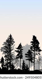 Coniferous forest, silhouette of pine trees and spruces, beautiful landscape. Vector illustration
