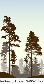 Bosque de coníferas, silueta de pinos y abetos, hermoso paisaje. Ilustración vectorial