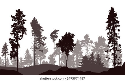 Coniferous forest, silhouette of pine trees and spruces, beautiful landscape. Vector illustration