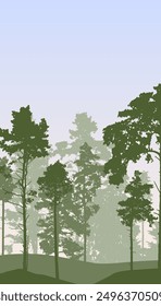 Coniferous forest, silhouette of pine trees and spruces, beautiful landscape. Vector illustration