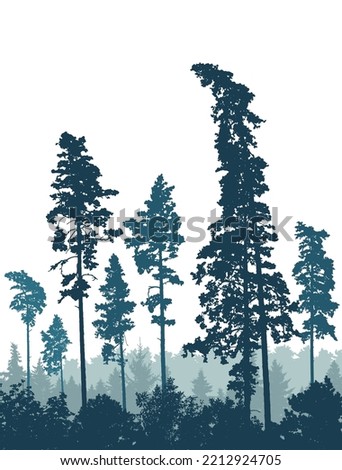 Coniferous forest, silhouette of pine trees, vertical landscape. Vector illustration