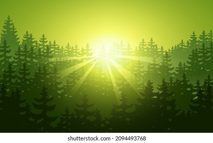 Coniferous forest silhouette sunrise scene landscape