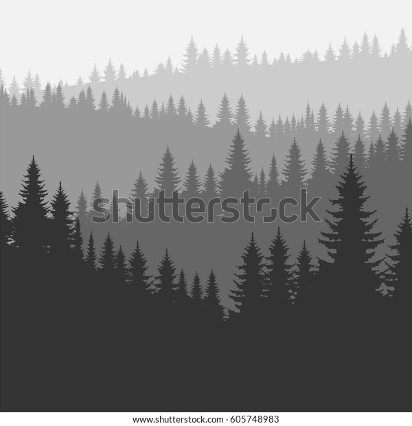 Coniferous forest silhouette template. Vector\
illustration of pine trees\
