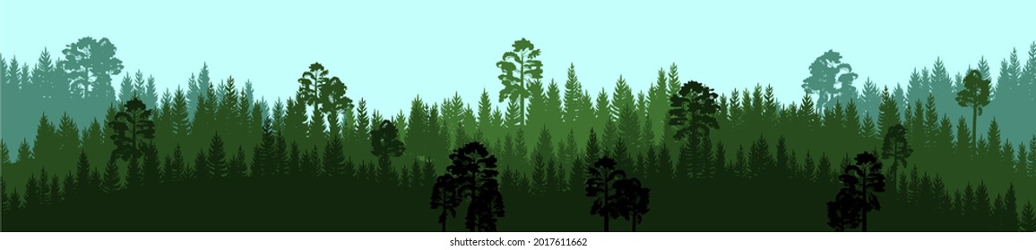 Coniferous forest silhouette. Wild trees. Pine, cedar, spruce, fir, larch. Siberian taiga. Beauty of harsh northern nature. Landscape is horizontal. Illustration vector