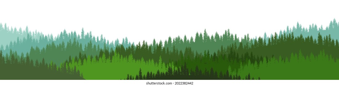 Nadelwaldsilhouette. Wilde Bäume. Kiefer, Zeder, Fichte, Tanne, Lärche. Sibirische Taiga. Die Schönheit der rauen Natur im Norden. Die Landschaft ist horizontal. Illustrationsvektor