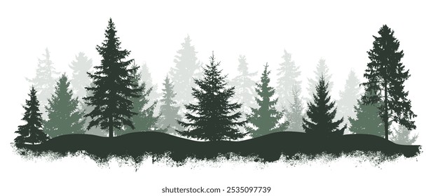 Coniferous forest. Silhouettes of pines, spruce trees. Vector illustration