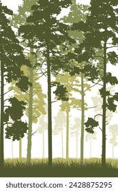 Coniferous forest with tall pine trunks and grass. Vertical silhouette of beautiful landscape. Vector illustration