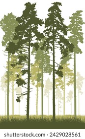 Bosque de coníferas con troncos altos de pino y pasto. Silueta vertical de hermoso paisaje. Ilustración de vector