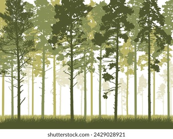 Coniferous forest with tall pine trunks and grass. Silhouette of beautiful landscape. Vector illustration