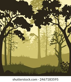 Coniferous forest with tall pine trunks and grass. Vertical silhouette of beautiful landscape. Vector illustration. 