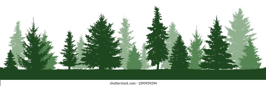 Coniferous forest, vector silhouette. Trees pine, fir, spruce, christmas tree. Isolated trees on a white background