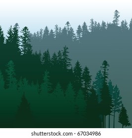 coniferous forests