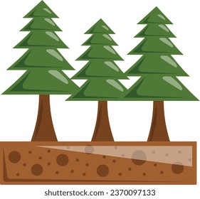 Coniferous forests concept, Forestry vector color icon design, Lawn and Gardening symbol, Farm and Plant sign, agriculture and horticulture equipment stock illustration