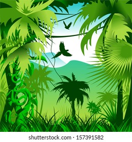 Coniferous green forest with natural light. Vector-illustration