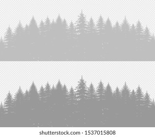 Coniferous pine forest with fir trees. Transparent plant shadow effect.