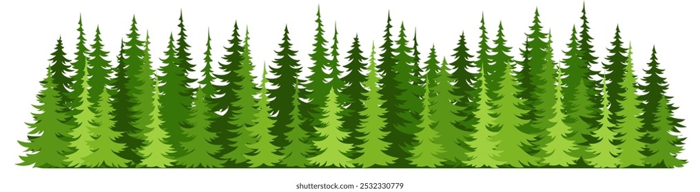 Coniferous spruce horizontal background. Forest trees panorama