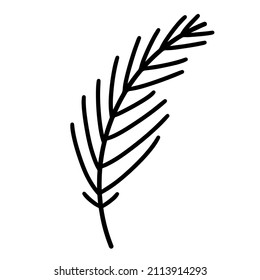 Coniferous tree branch vector icon. Hand-drawn illustration isolated on white backdrop. Evergreen sprig of pine, fir, spruce. Botanical clipart for decoration, card design, invitation, web