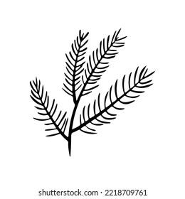 Coniferous tree branch vector icon. Hand drawn illustration in doodle style. Christmas branch. Sprig of pine, fir, spruce. Botanical clipart for decoration, card design, invitation, web