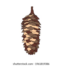A coniferous tree cone. Vector element for the design. Christmas illustration.